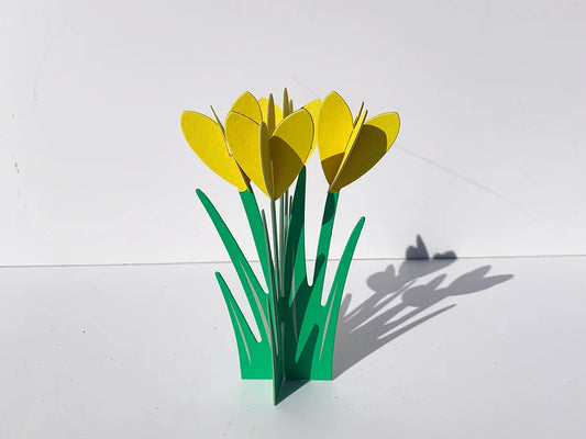 Yellow Crocuses