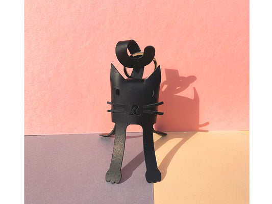 Cat Keyholder - good luck to take with you